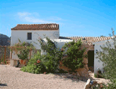 FINCA FRANCIS